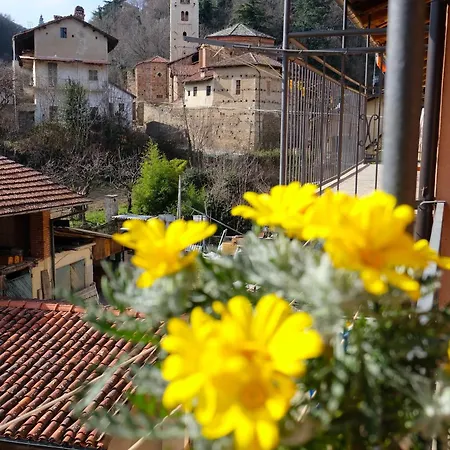 La Ghiacciaia Verzuolo